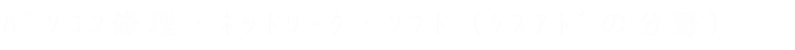 パソコン修理・ネットワーク・ソフト（ｼｽﾃﾑｱﾄﾞﾐﾆｽﾄﾚｰﾀｰの分野）